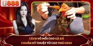 cách vô mồi cho gà đá